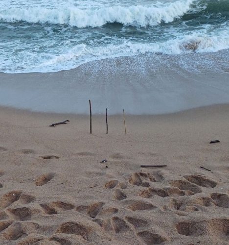 SS-1STAR-003-2654194-Sticks-VS-Ocean-Cindy-Bottomley